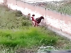 Avenida 브라질에는 cu 주는 나쁜